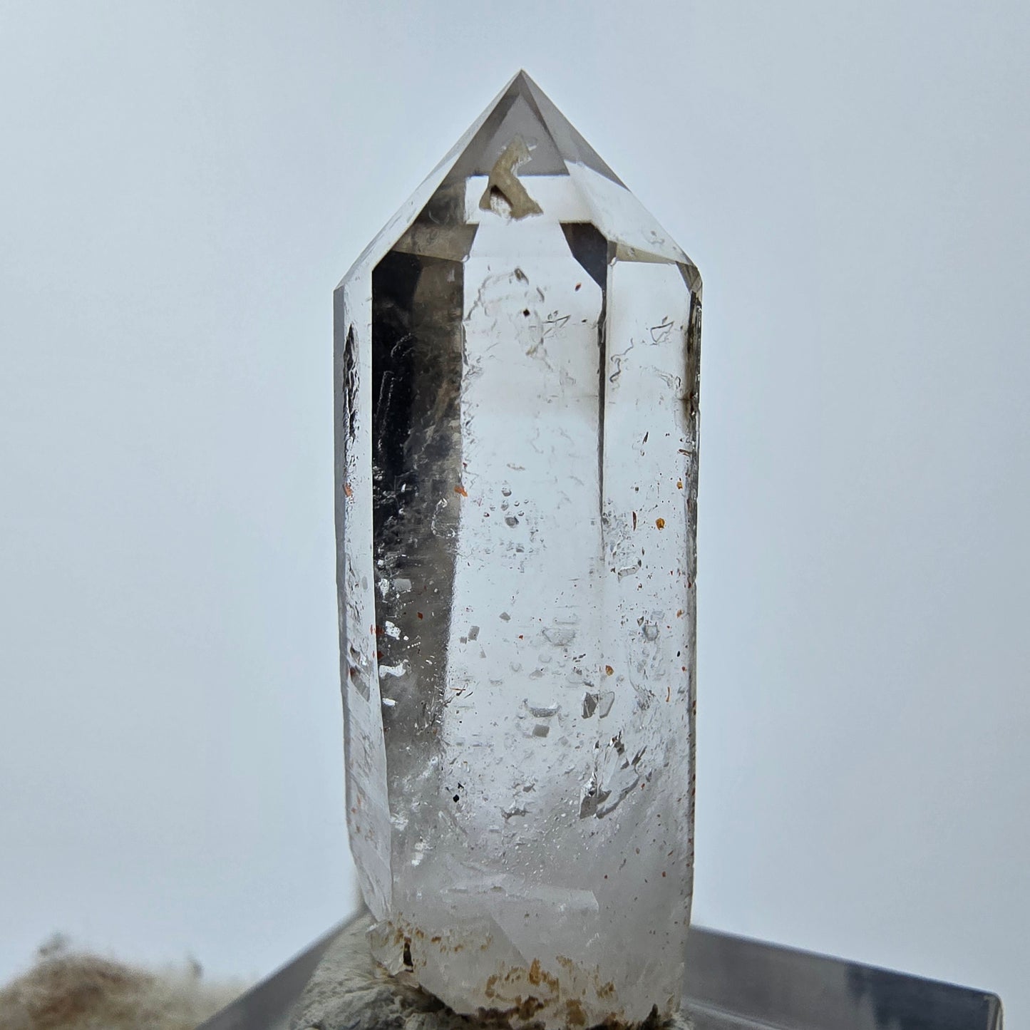 15x klare Phantom Rauchquarz Spitzen, Zepter aus Goboboseb, Namibia Lot Sammlung