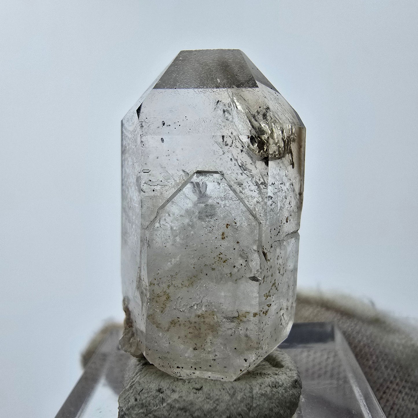 11x klare Phantom Rauchquarz Spitzen, Zepter aus Goboboseb, Namibia Lot Sammlung