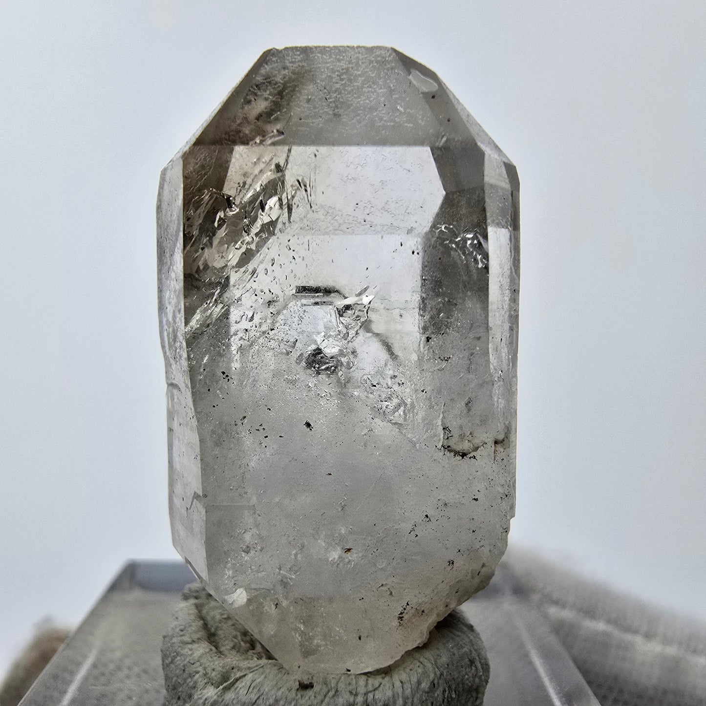 11x klare Phantom Rauchquarz Spitzen, Zepter aus Goboboseb, Namibia Lot Sammlung