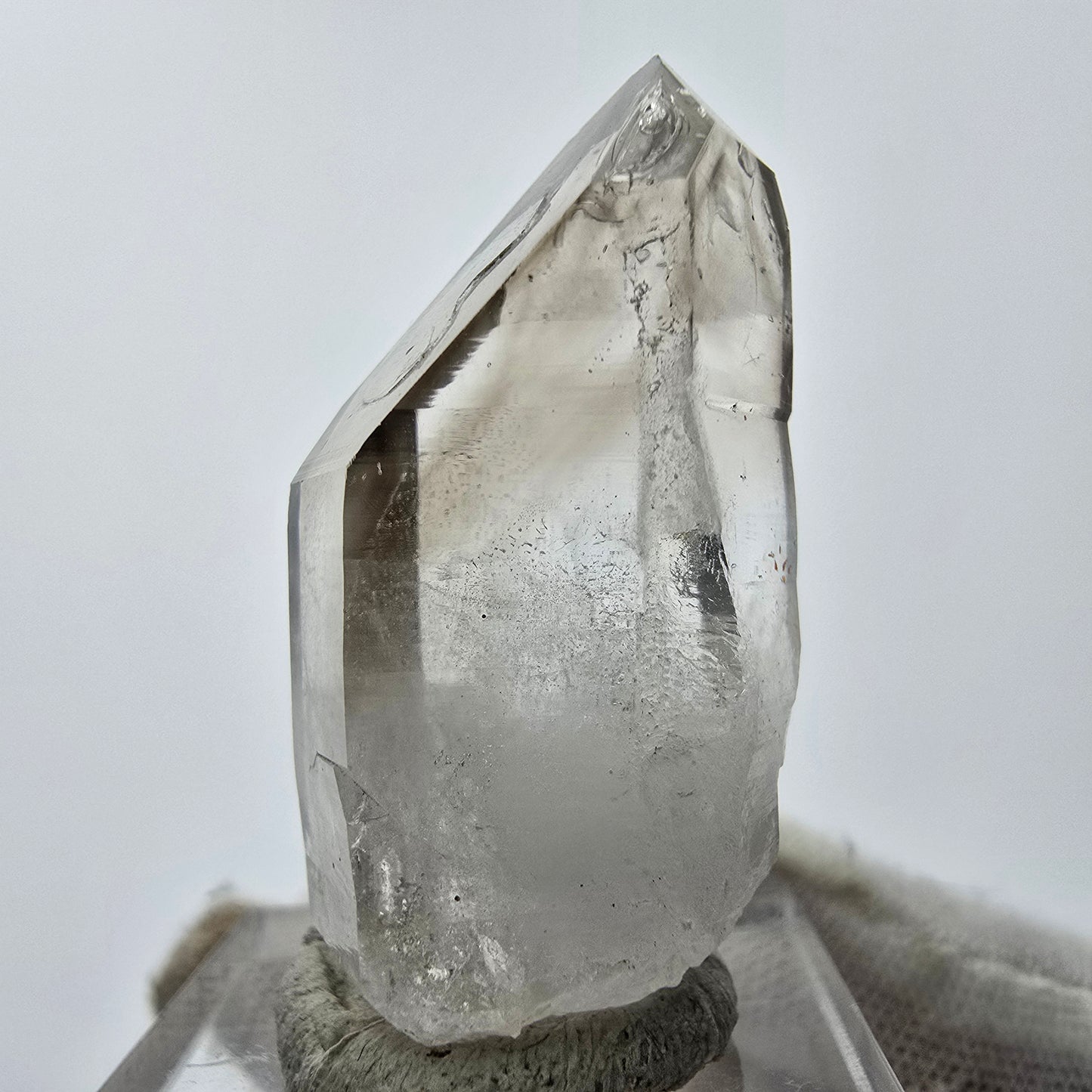 11x klare Phantom Rauchquarz Spitzen, Zepter aus Goboboseb, Namibia Lot Sammlung
