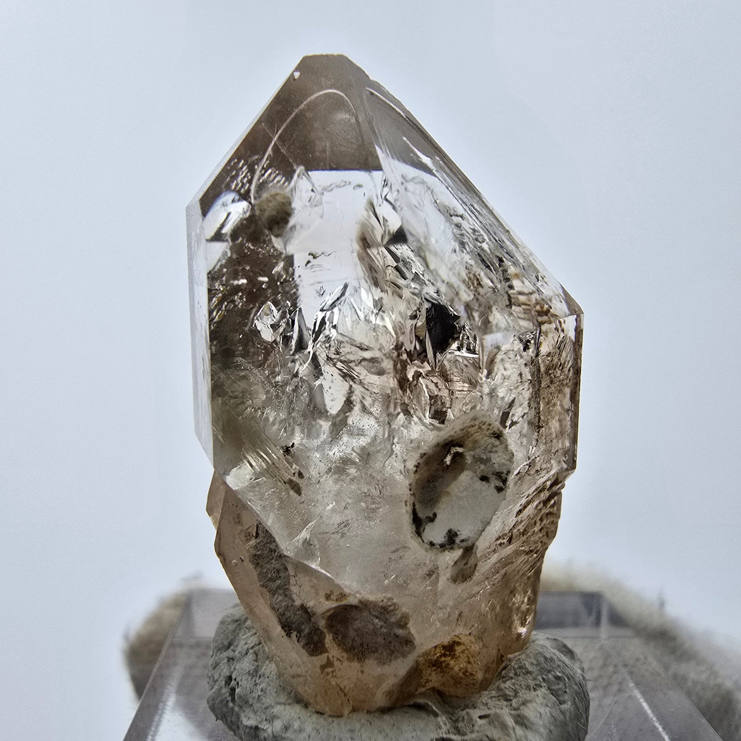 11x klare Phantom Rauchquarz Spitzen, Zepter aus Goboboseb, Namibia Lot Sammlung