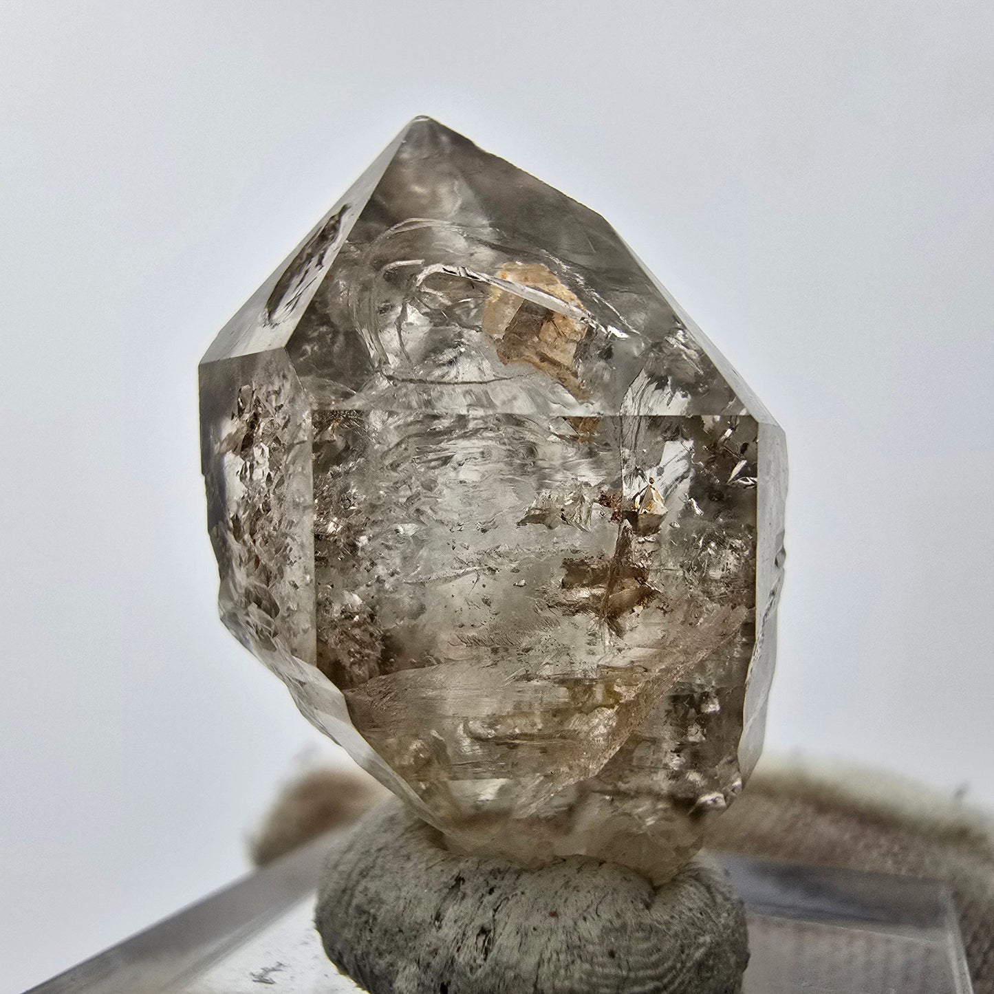 11x klare Phantom Rauchquarz Spitzen, Zepter aus Goboboseb, Namibia Lot Sammlung
