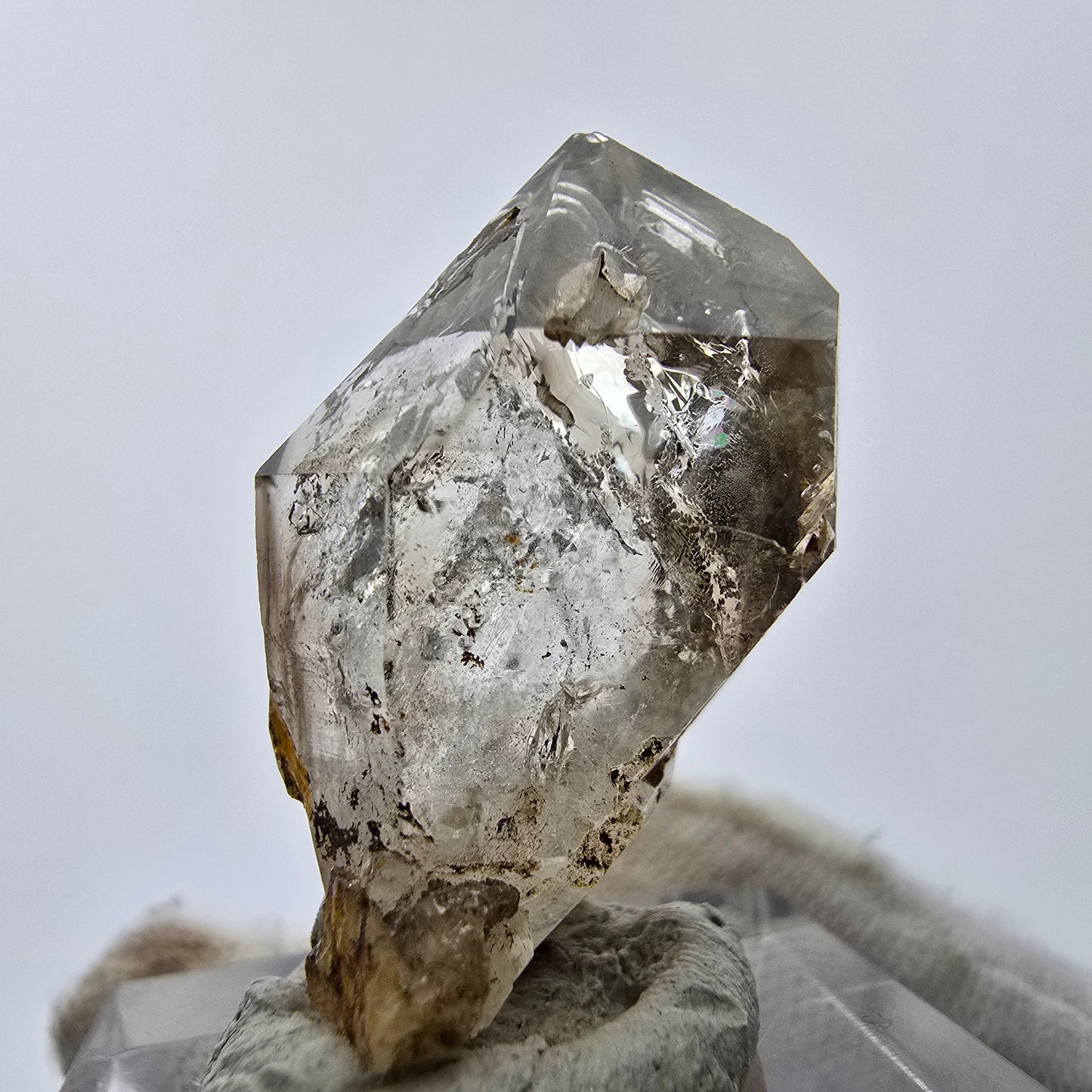 11x klare Phantom Rauchquarz Spitzen, Zepter aus Goboboseb, Namibia Lot Sammlung