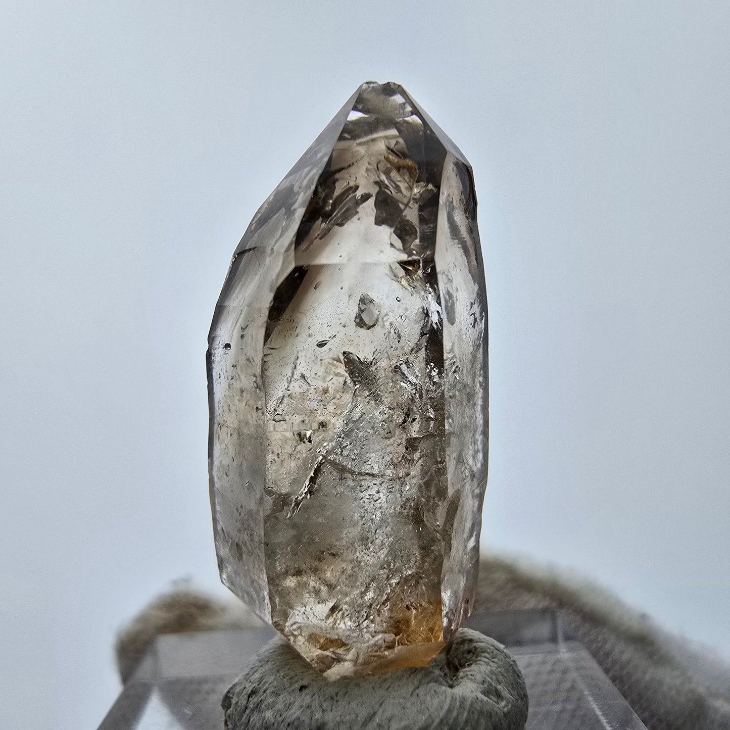 11x klare Phantom Rauchquarz Spitzen, Zepter aus Goboboseb, Namibia Lot Sammlung