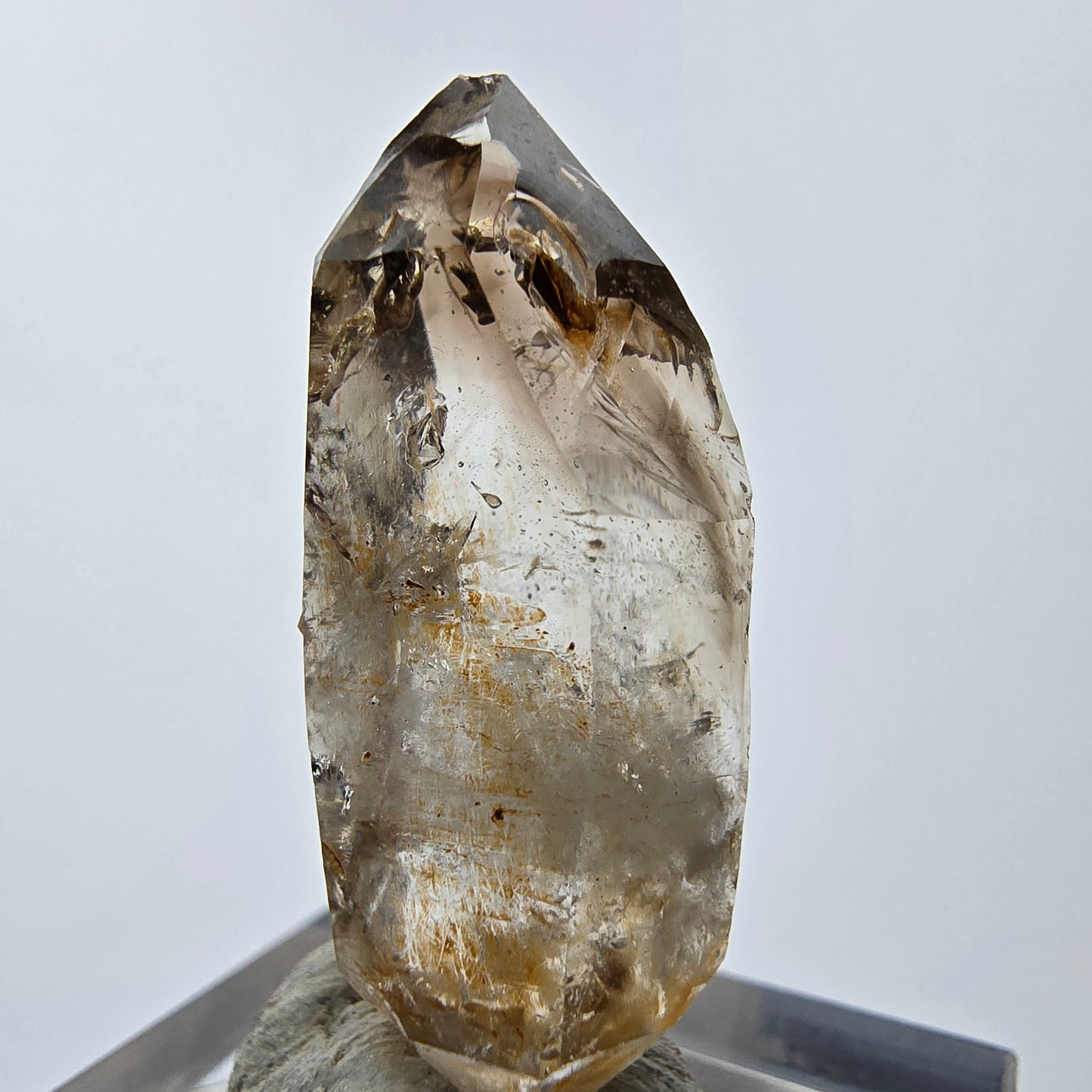 11x klare Phantom Rauchquarz Spitzen, Zepter aus Goboboseb, Namibia Lot Sammlung