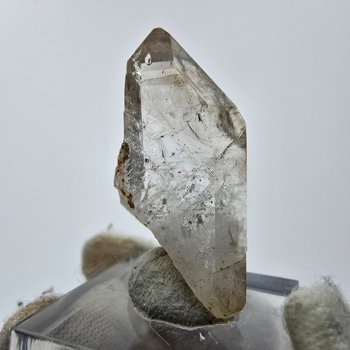 11x klare Phantom Rauchquarz Spitzen, Zepter aus Goboboseb, Namibia Lot Sammlung