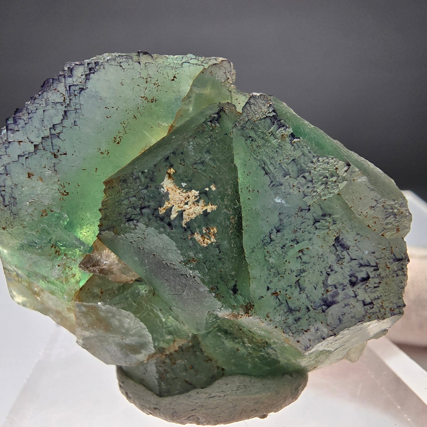 Phantom Fluorit Würfel Stufe grün lila parkettiert Okorusu, Namibia 50*37*25mm