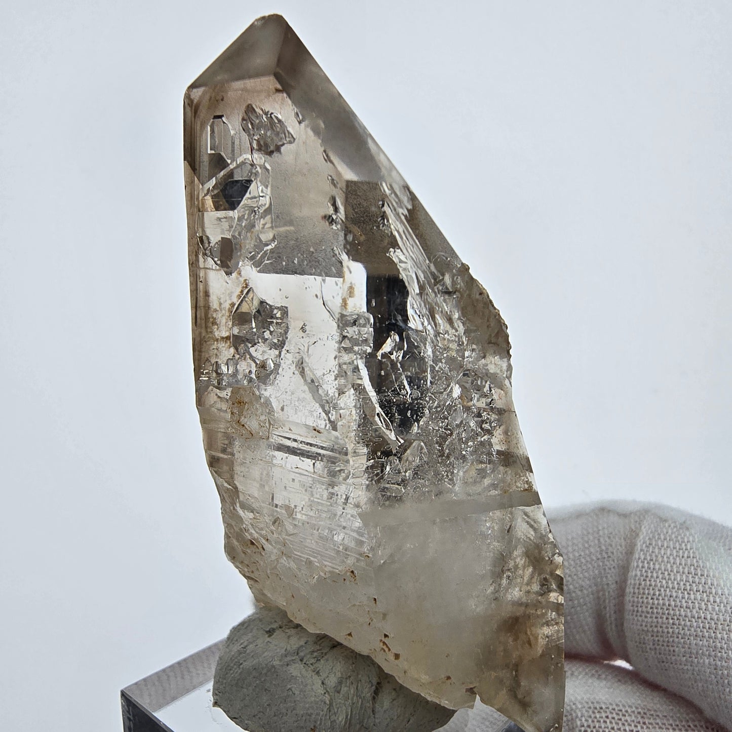 Große Phantom Rauchquarz Fenster Zepter Spitze Goboboseb, Namibia 60*33*21mm