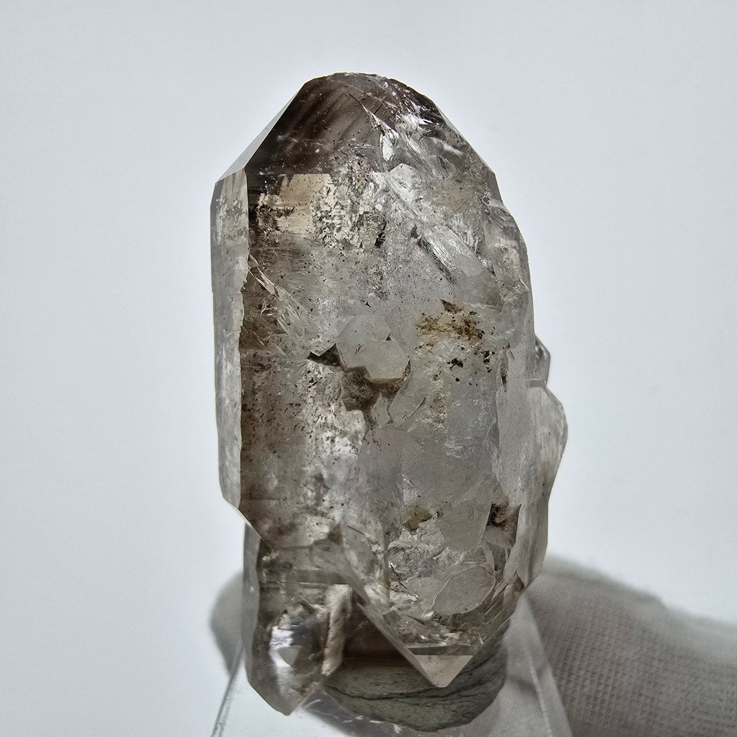 Große Phantom Rauchquarz DT Zepter Quarz Stufe Goboboseb, Namibia 50*27*22mm