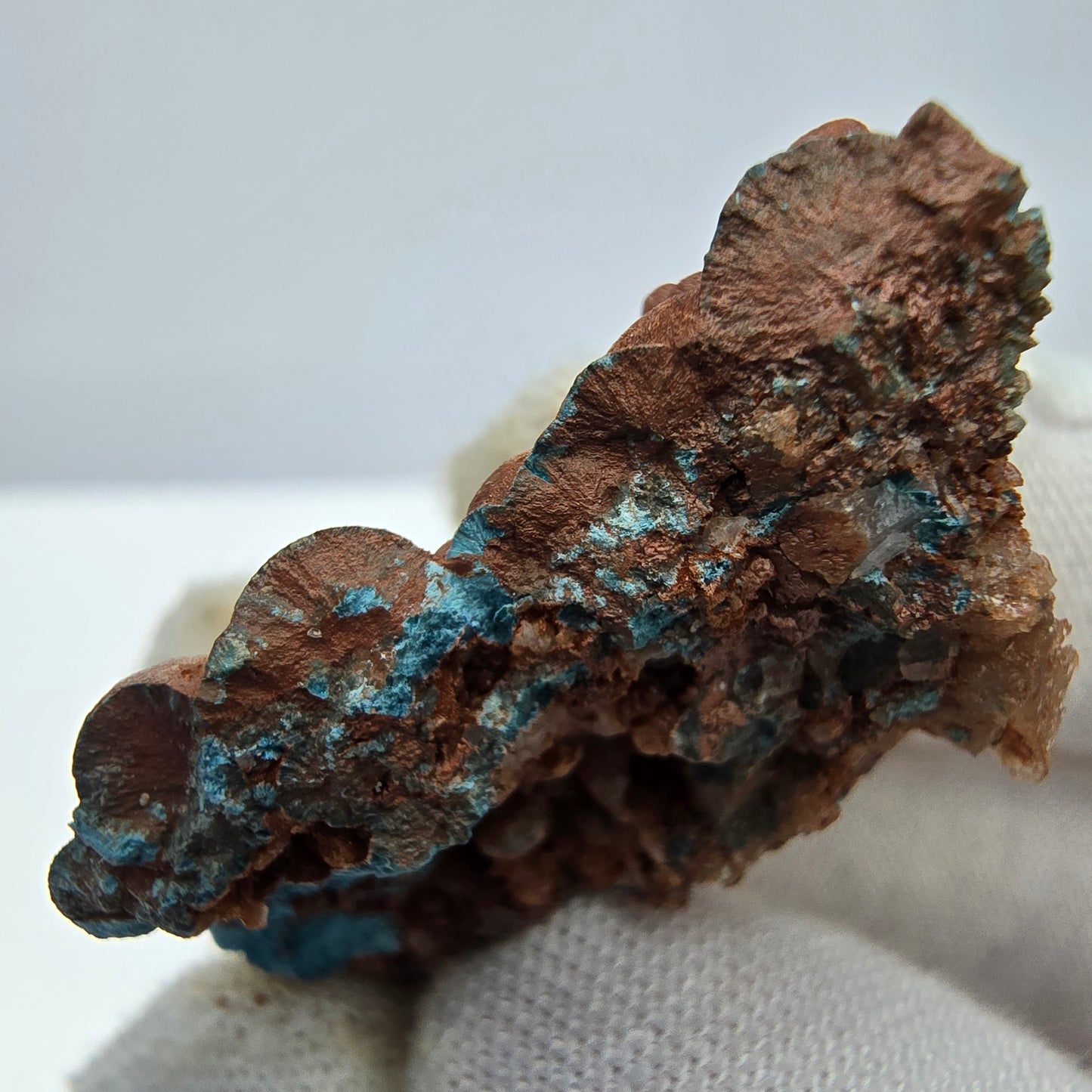 Spécimen rare de Shattuckite avec cristaux sphériques Kaokoveld, Namibie 35*24*16mm