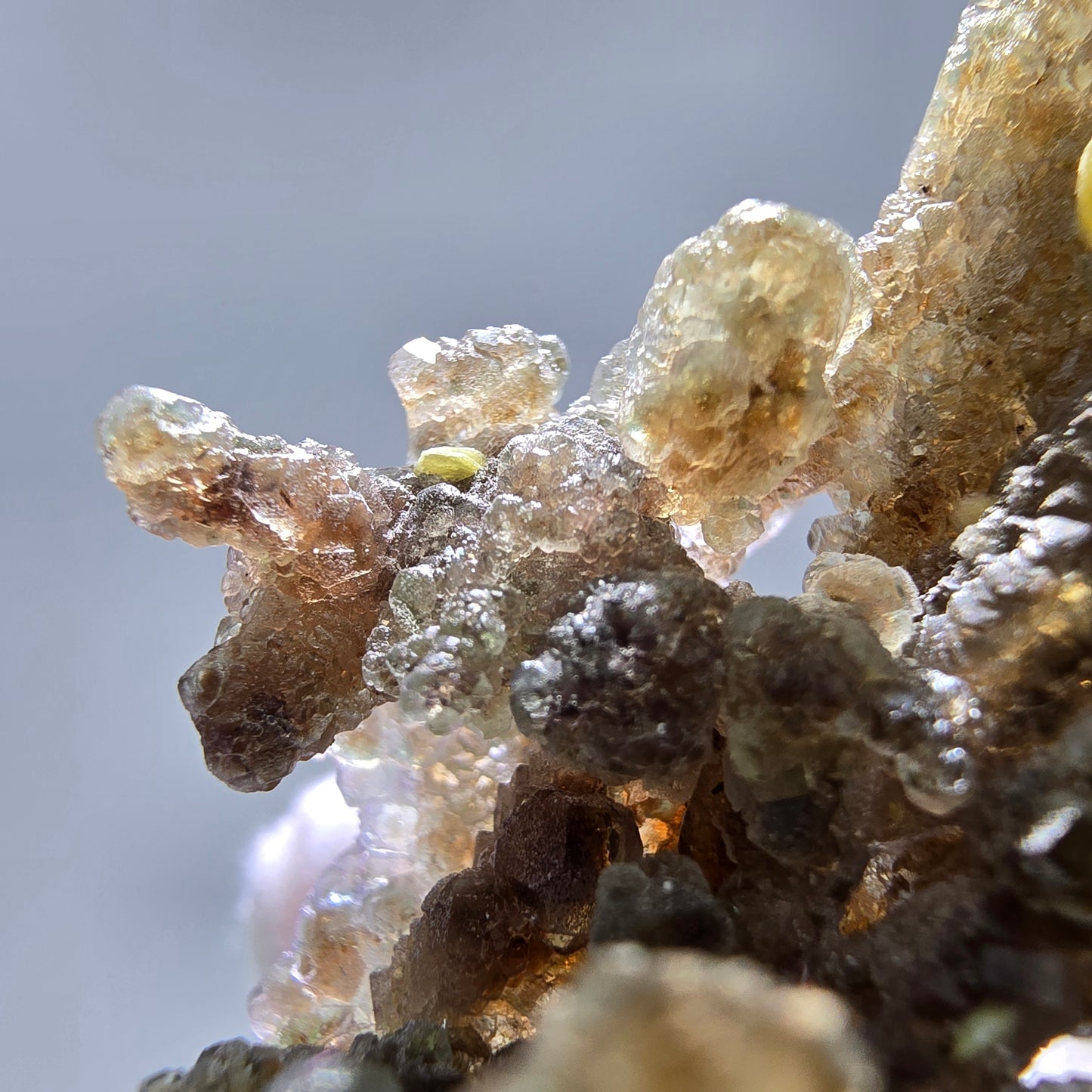 Phantom Fluorit Würfel grün braun, Muskovit Stufe Erongo, Namibia 50*31*23mm