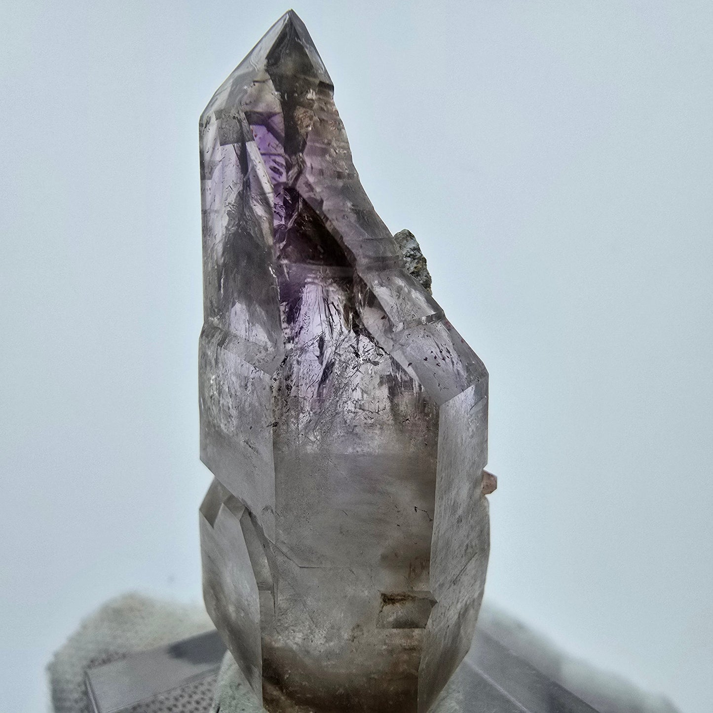 Enhydro Harlekin Amethyst DT Zepter, 1x Blase Goboboseb, Namibia 45*20*17mm