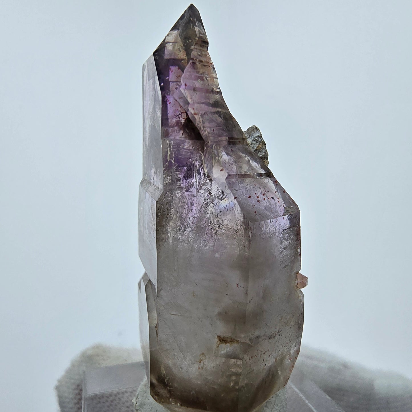 Enhydro Harlekin Amethyst DT Zepter, 1x Blase Goboboseb, Namibia 45*20*17mm