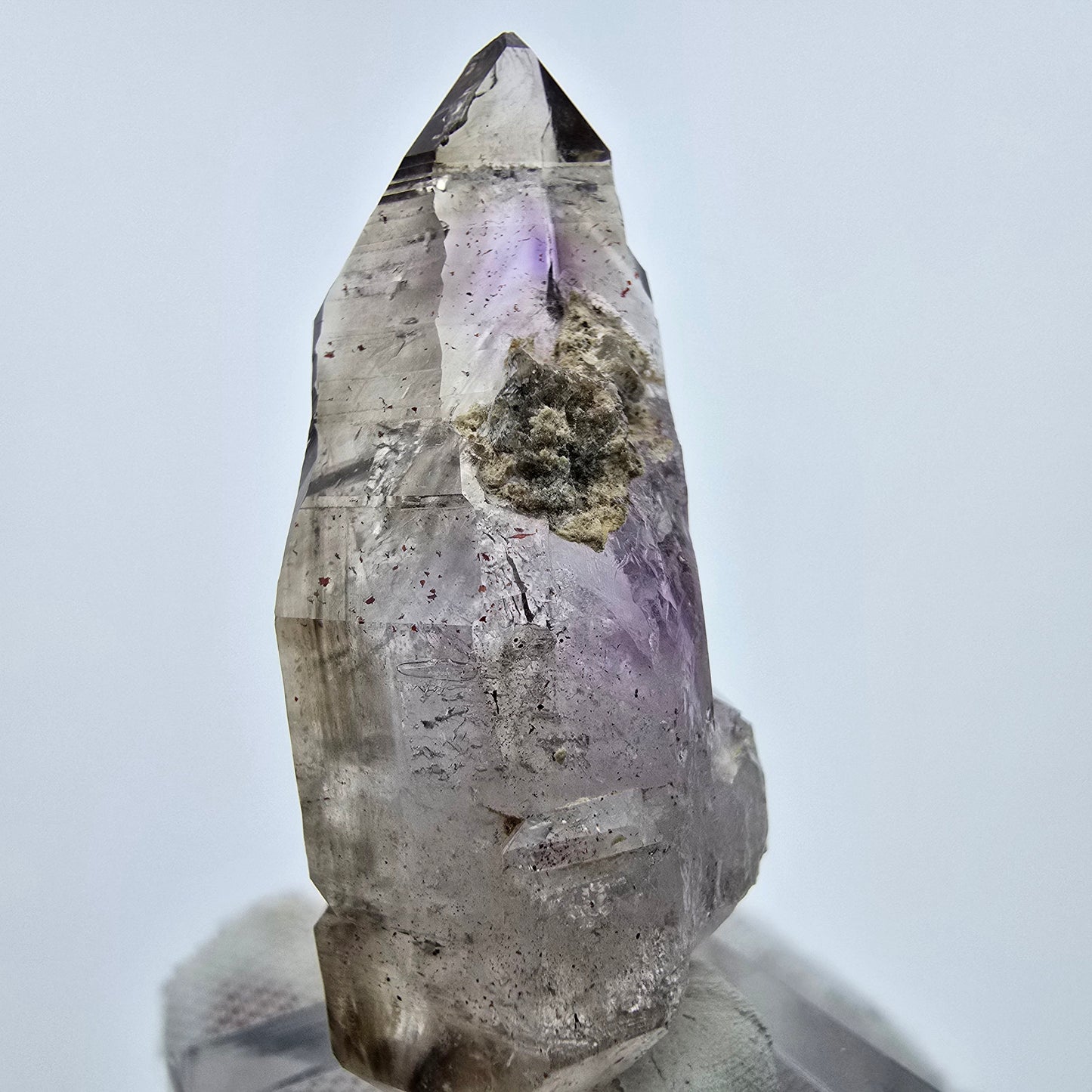 Enhydro Harlekin Amethyst DT Zepter, 1x Blase Goboboseb, Namibia 45*20*17mm