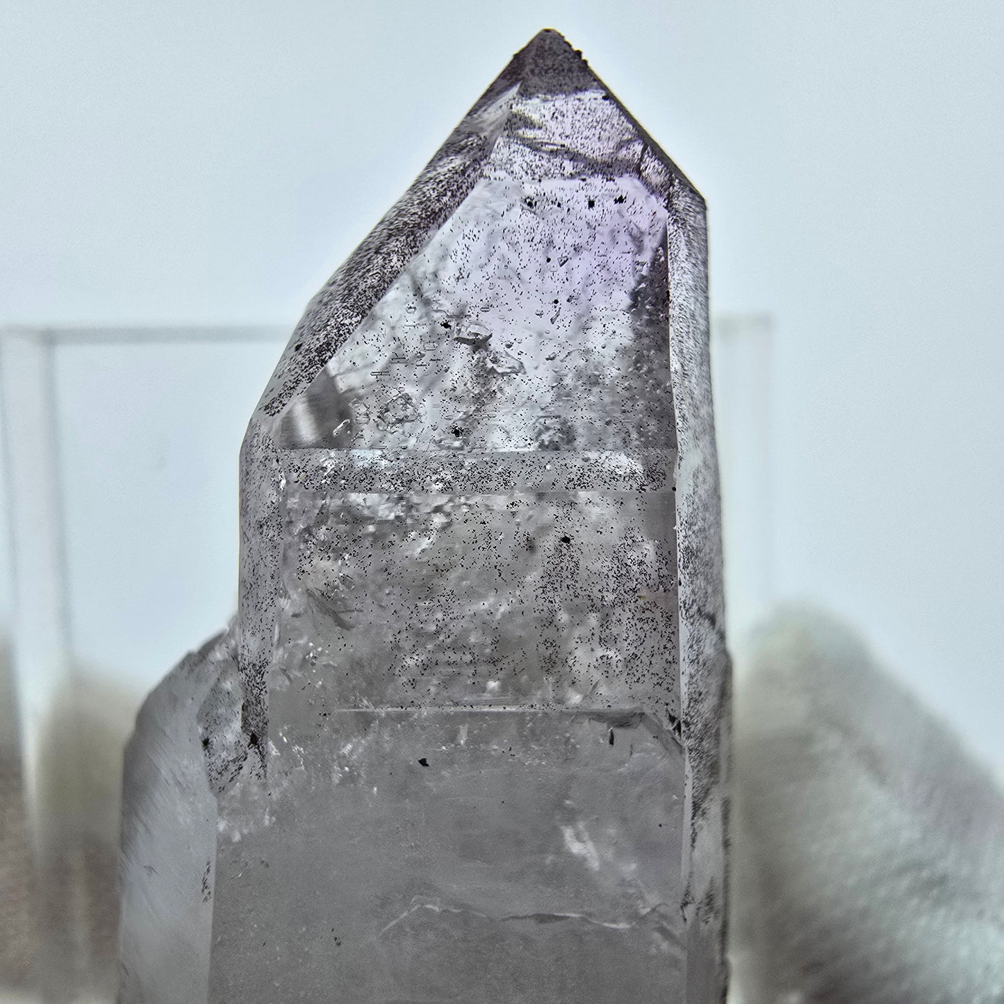 Phantom Amethyst DT Zepter Kristall Goboboseb, Namibia 42*17*16mm Sammlung