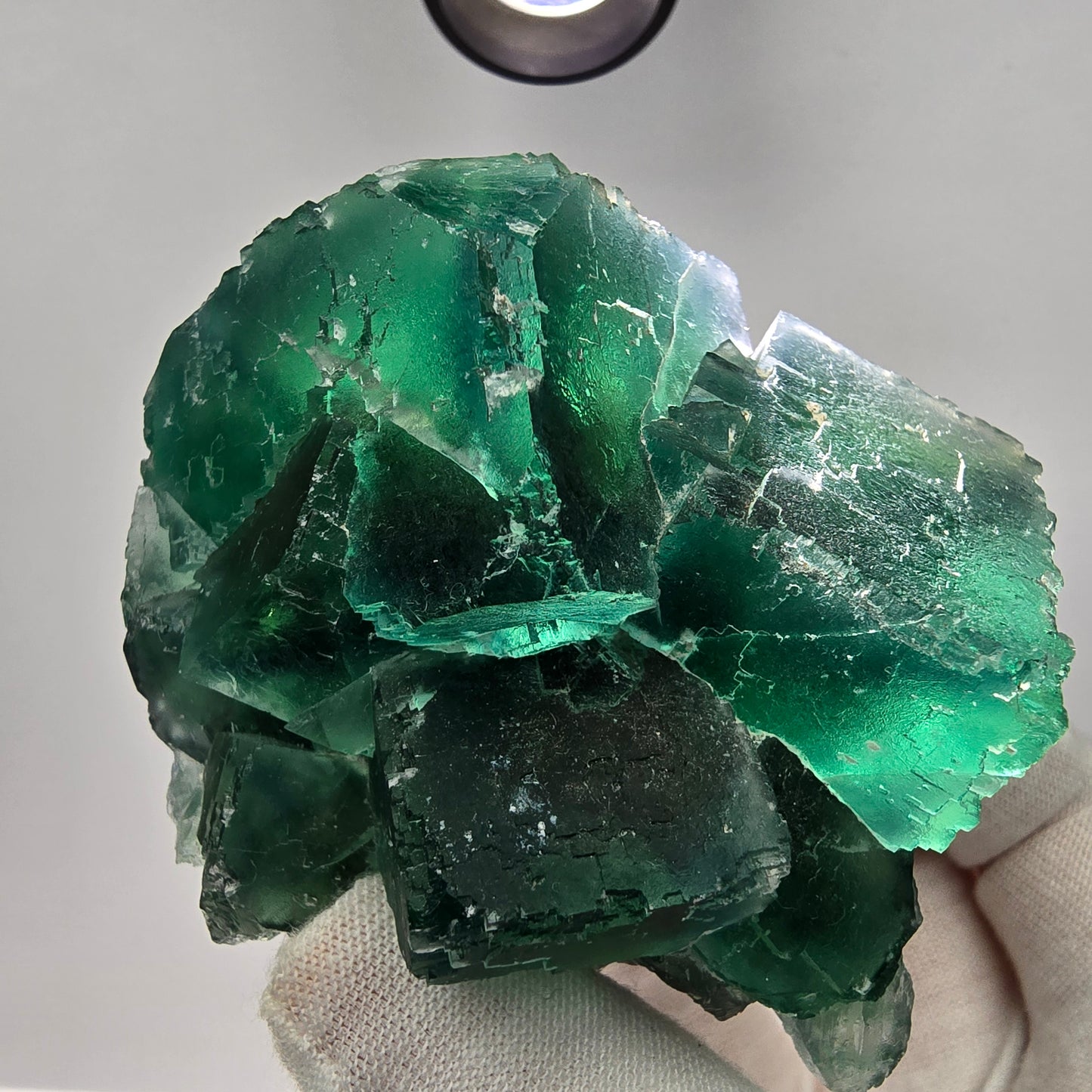 Große Phantom Fluorit Würfel Stufe grün parkettiert Okorusu, Namibia 71*58*46mm