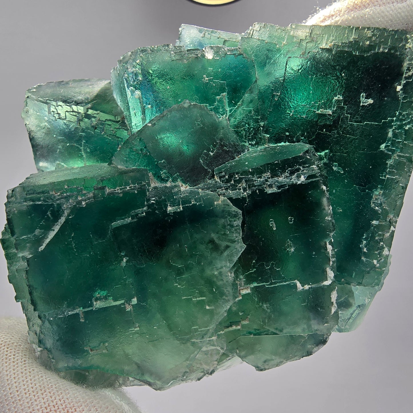 Große Phantom Fluorit Würfel Stufe grün parkettiert Okorusu, Namibia 81*68*35mm