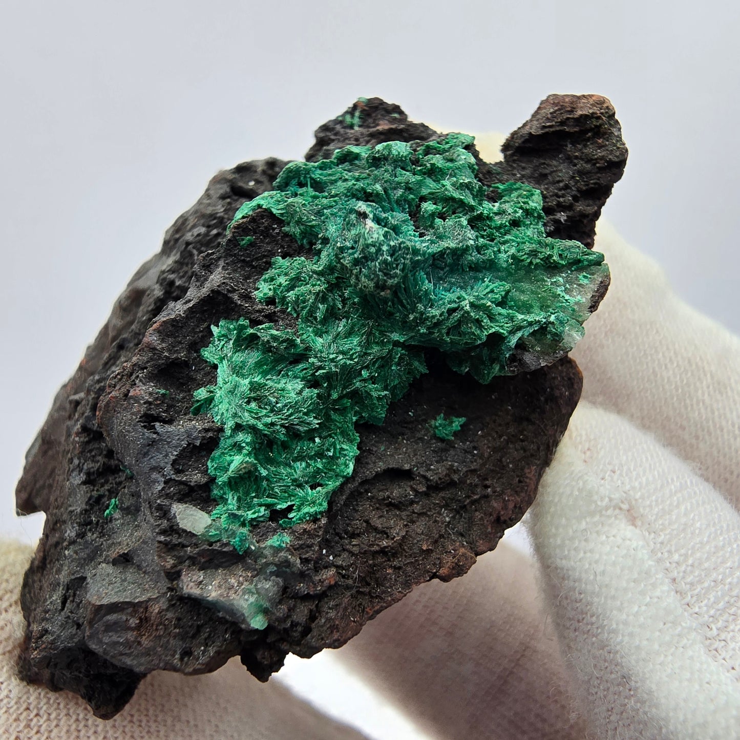 Seltene Malachit auf Matrix Stufe Kaokoveld, Namibia 52*43*22mm Sammlung