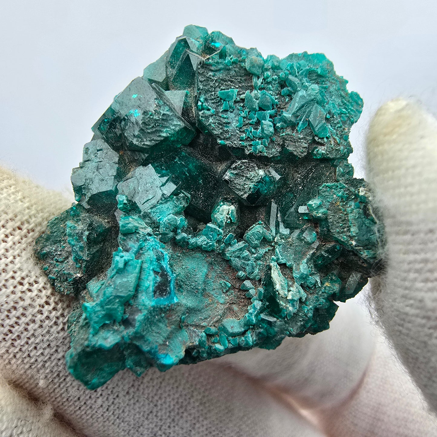Seltene Diotas XX mit Azurit Stufe Kaokoveld, Namibia 33*30*8mm Sammlung