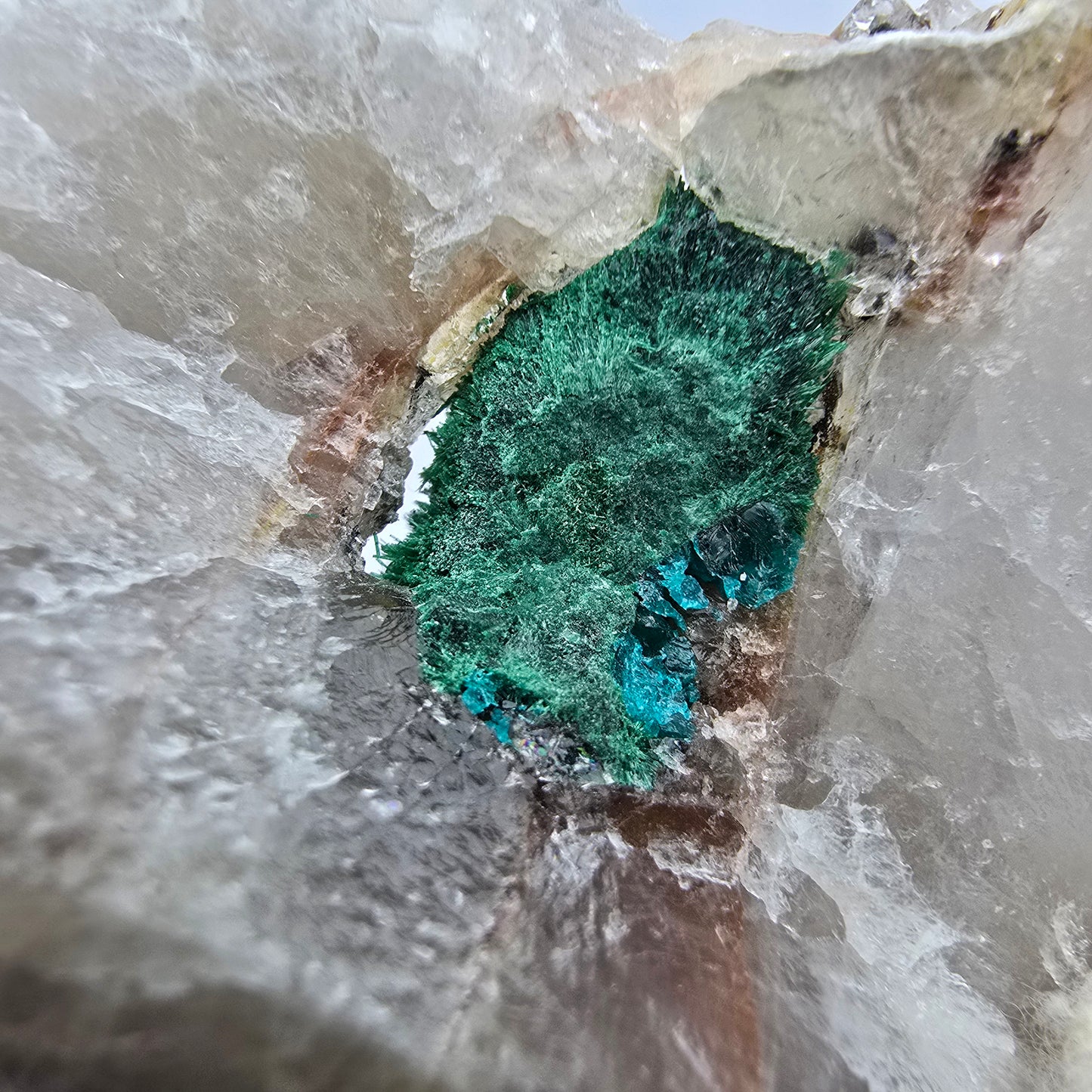 Seltene Malachit, Dioptas auf Quarz Stufe Kaokoveld, Namibia 70*50*23mm Sammlung