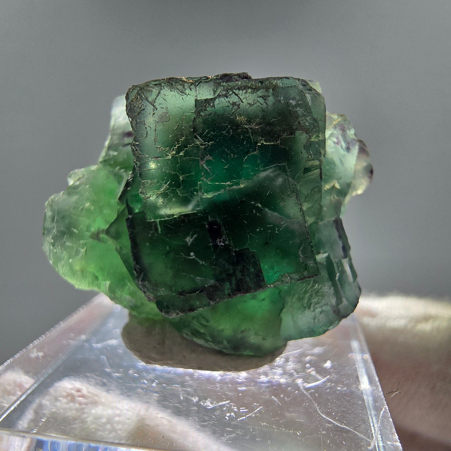 Seltene Phantom Fluorit Würfel Stufe grün Erongo, Namibia 25*22*15mm Sammlung