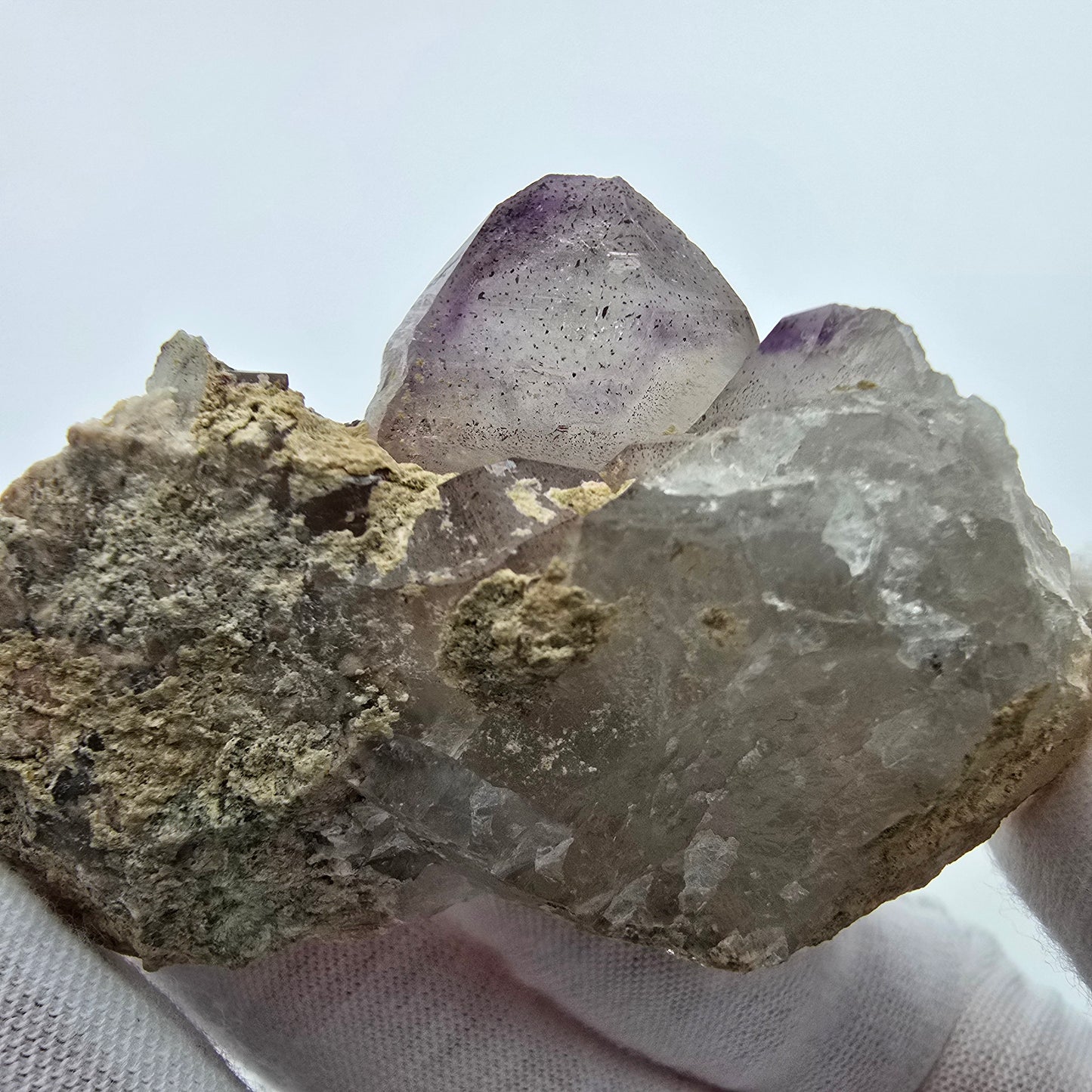 Phantom Amethyst Zepter auf Matrix Goboboseb, Namibia 62*34*30mm Sammlung