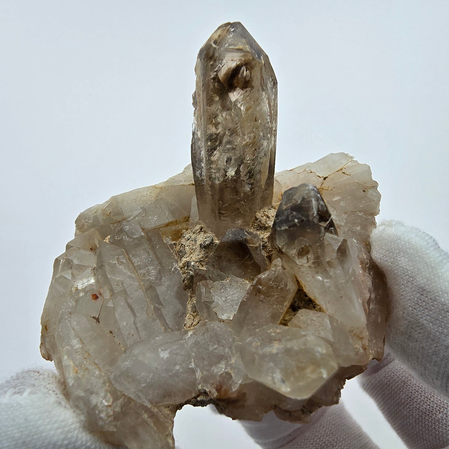 Phantom Rauchquarz Zepter auf Matrix Goboboseb, Namibia 57*51*47mm Sammlung