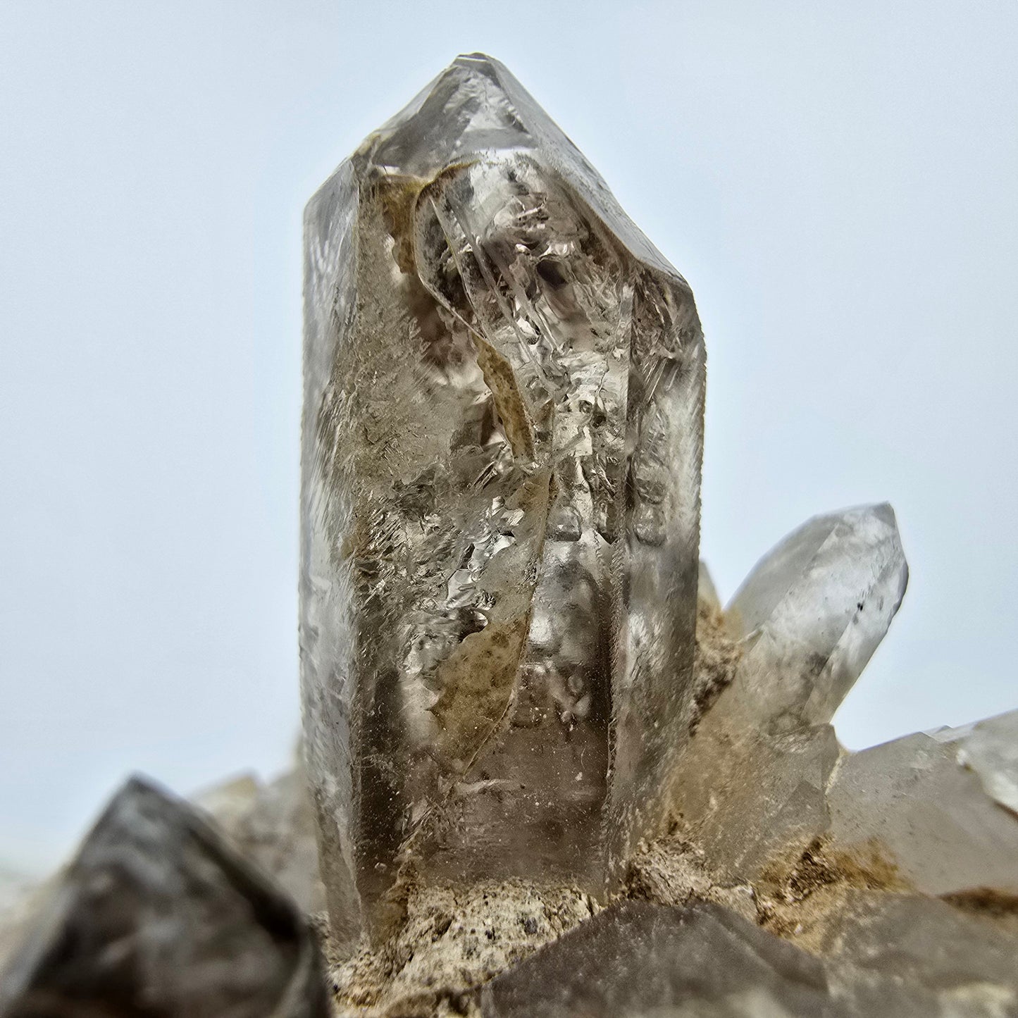 Phantom Rauchquarz Zepter auf Matrix Goboboseb, Namibia 57*51*47mm Sammlung