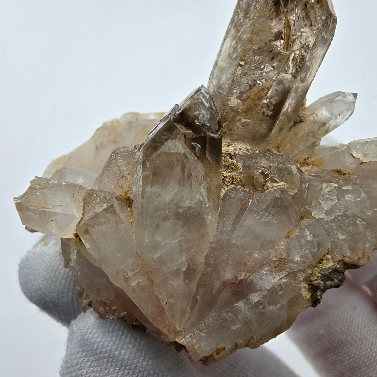 Phantom Rauchquarz Zepter auf Matrix Goboboseb, Namibia 57*51*47mm Sammlung