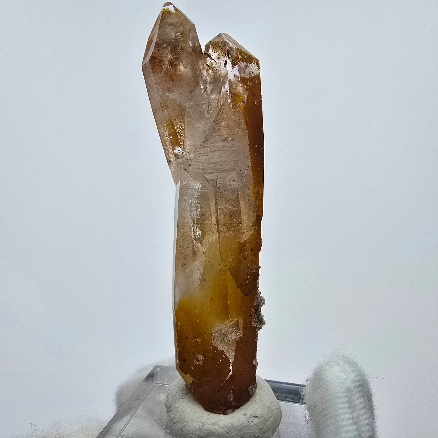 Quartz fumé Harlequin avec formation de fer DT Goboboseb Namibie 62*18*13mm Collection