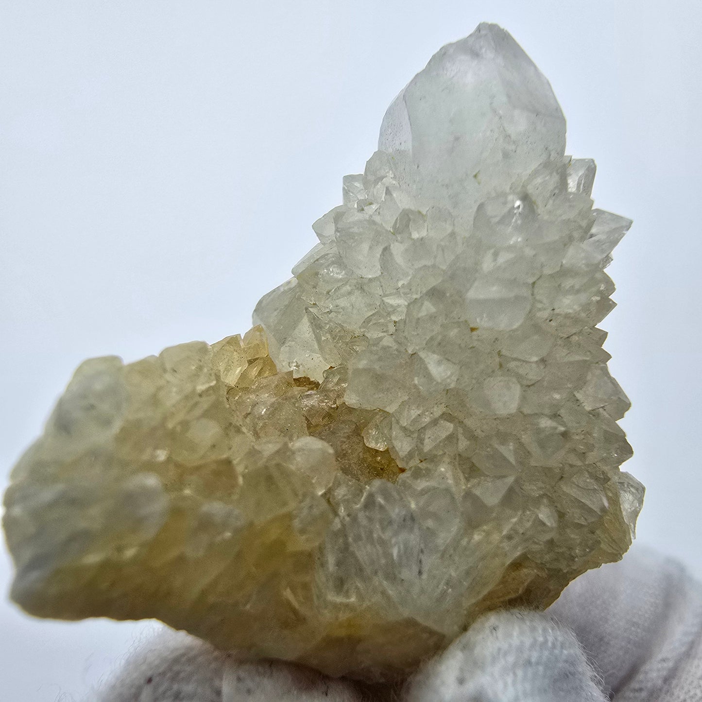 Kaktusquarz, Spirit Quarz XX Stufe Boekenhouthoek, Südafrika 40*33*22mm Sammlung