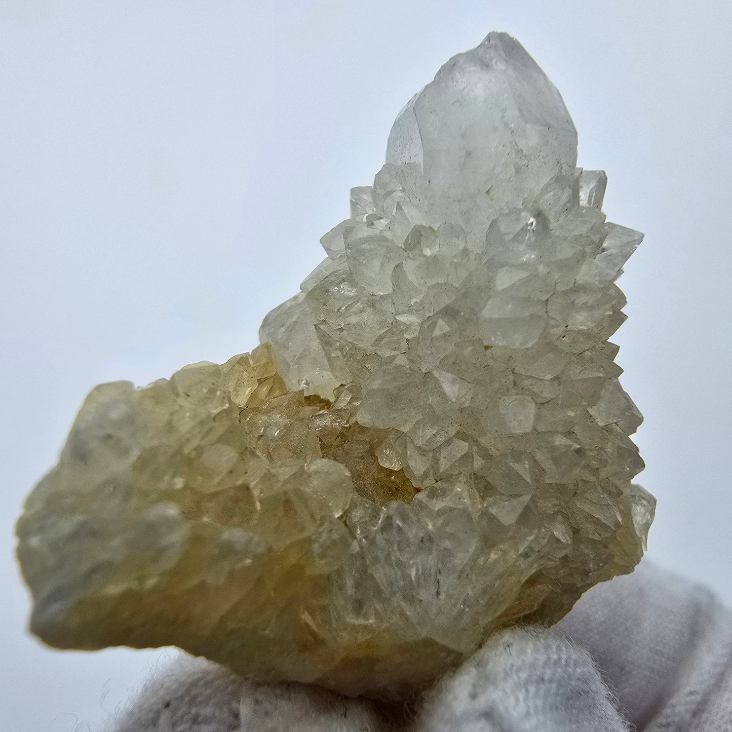 Kaktusquarz, Spirit Quarz XX Stufe Boekenhouthoek, Südafrika 40*33*22mm Sammlung