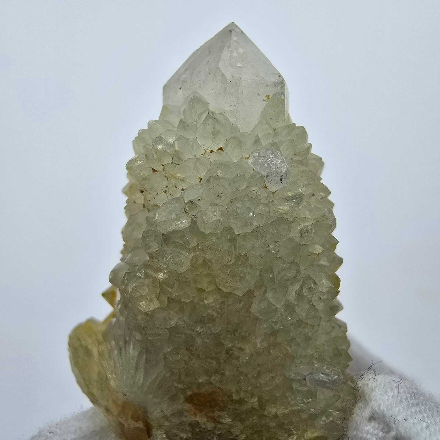 Cactus Quartz, Spirit Quartz XX Grade Boekenhouthoek, South Africa 49*31*24mm Collection