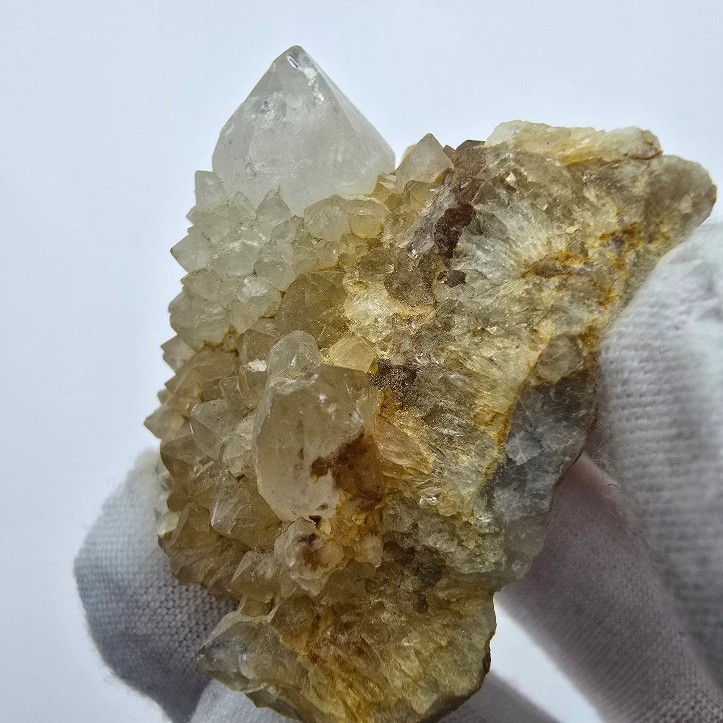 Kaktusquarz, Spirit Quarz XX Stufe Boekenhouthoek, Südafrika 55*43*27mm Sammlung