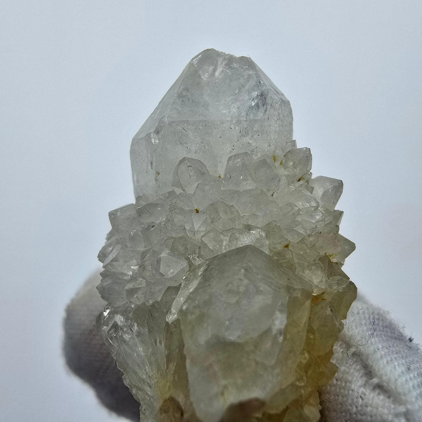 Kaktusquarz, Spirit Quarz XX Stufe Boekenhouthoek, Südafrika 41*30*25mm Sammlung
