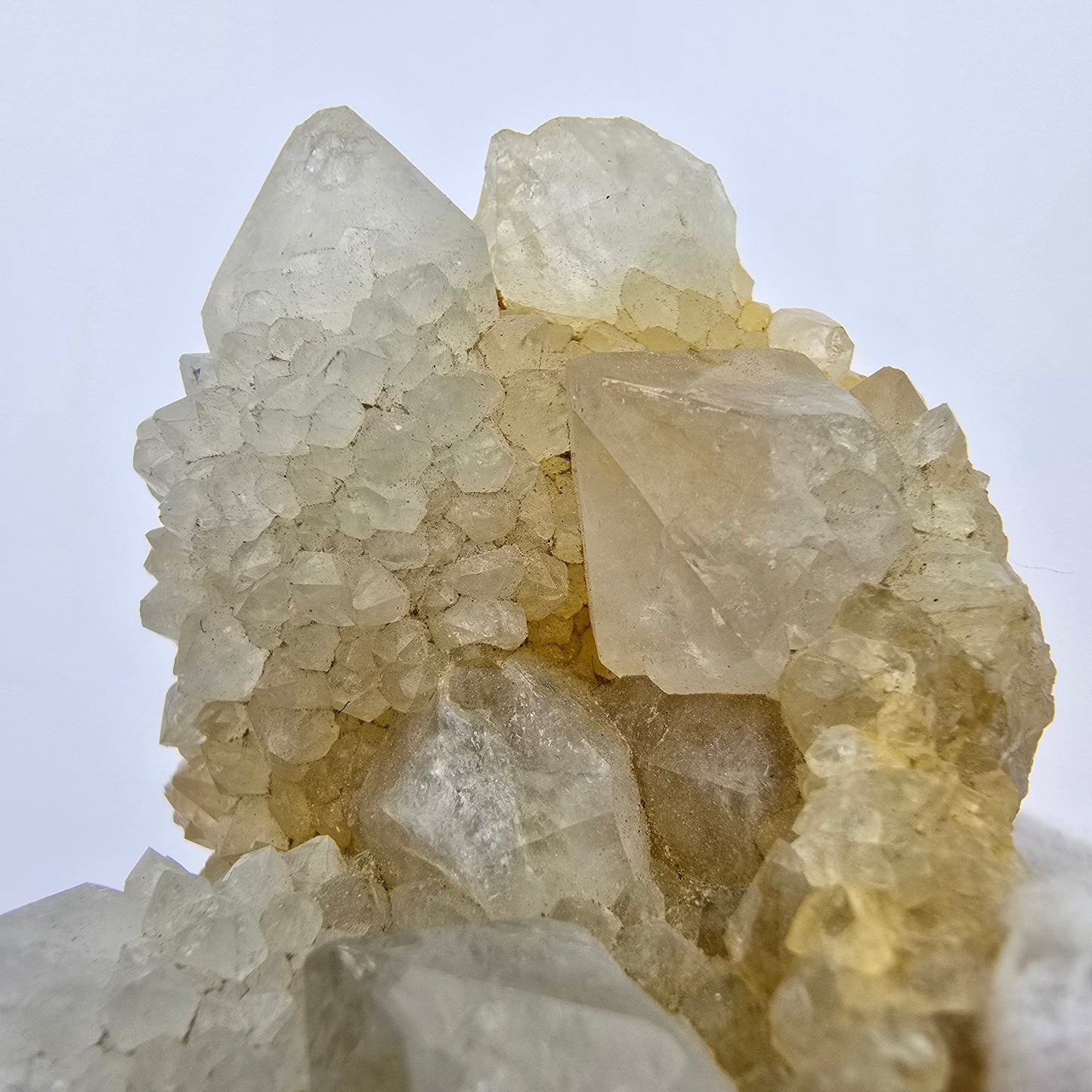 Cactus Quartz, Spirit Quartz XX Grade Boekenhouthoek, South Africa 65*50*29mm Collection