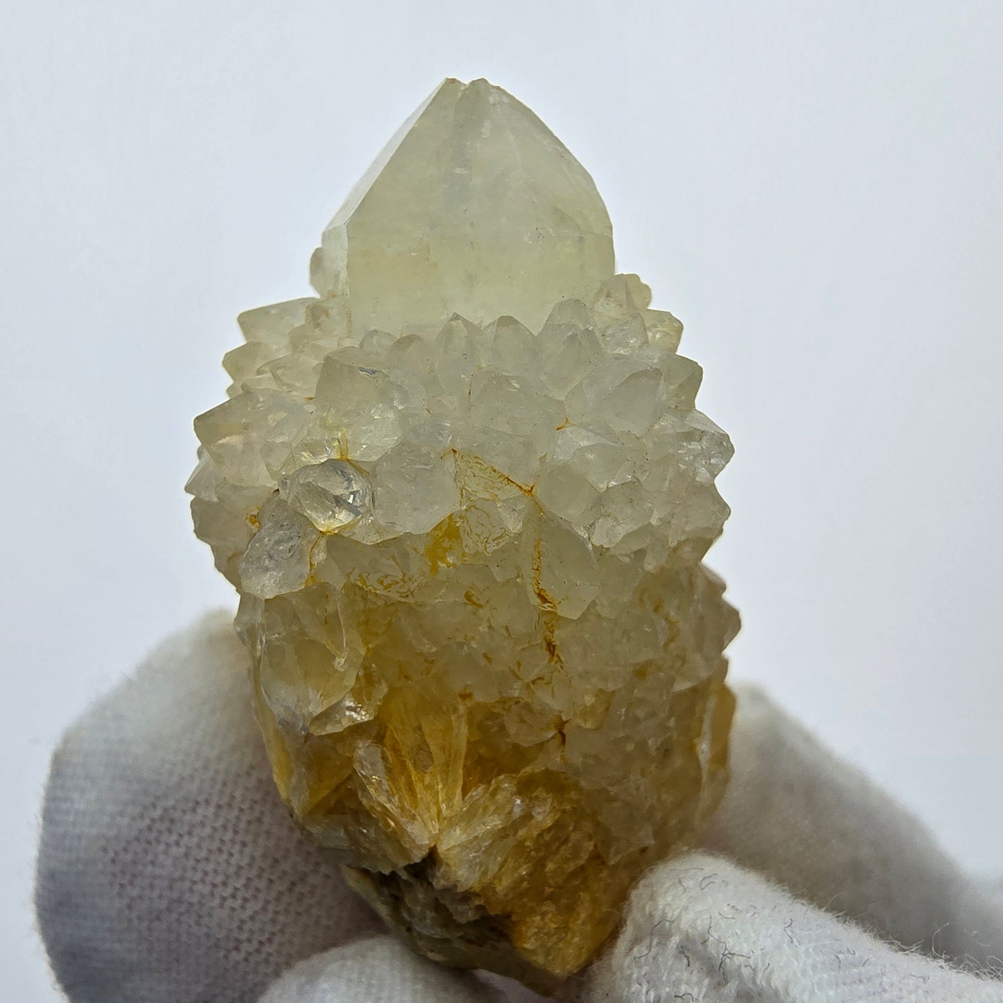 Kaktusquarz, Spirit Quarz XX Stufe Boekenhouthoek, Südafrika 45*27*27mm Sammlung
