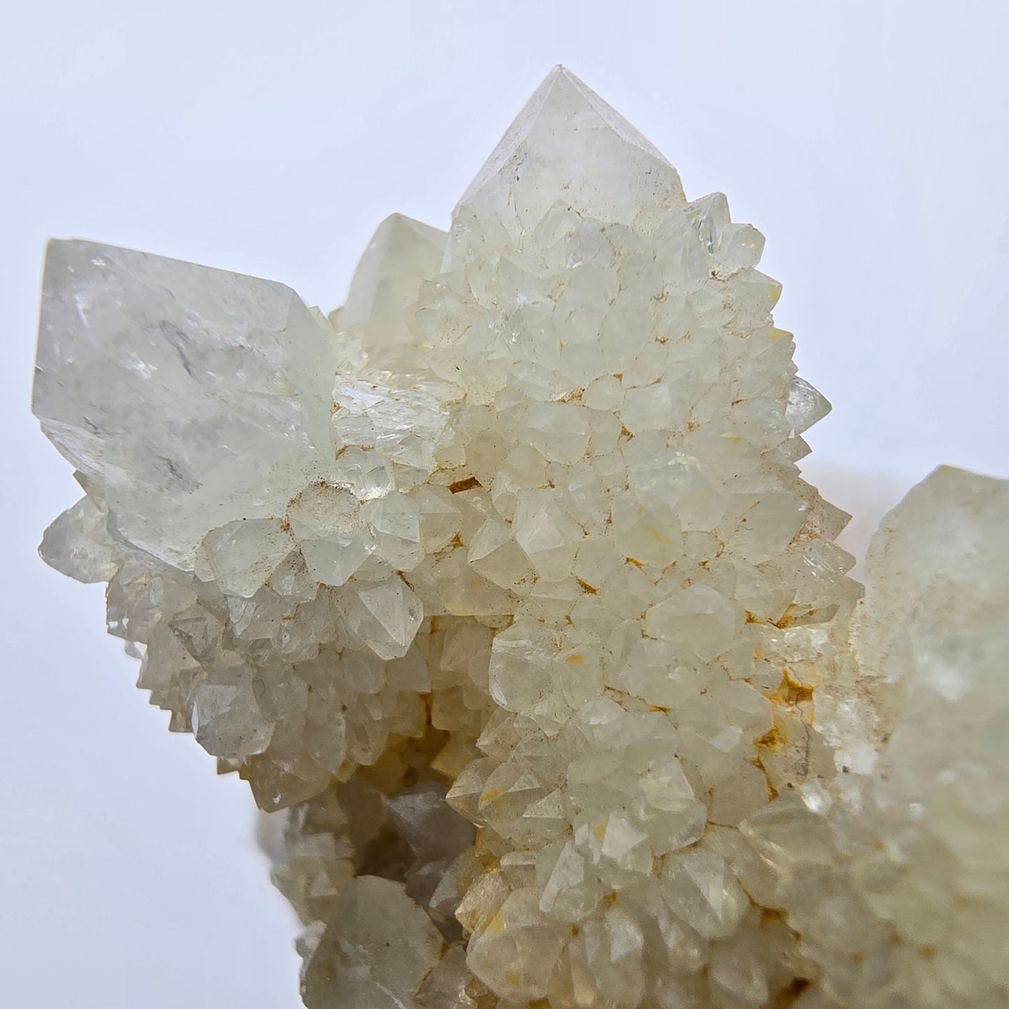 Kaktusquarz, Spirit Quarz XX Stufe Boekenhouthoek, Südafrika 55*37*29mm Sammlung
