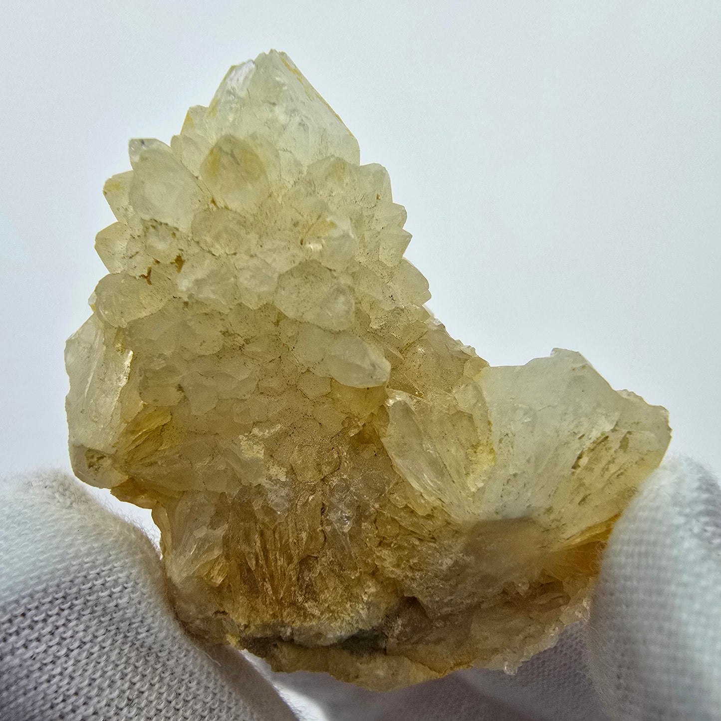 Kaktusquarz, Spirit Quarz XX Stufe Boekenhouthoek, Südafrika 38*37*23mm Sammlung
