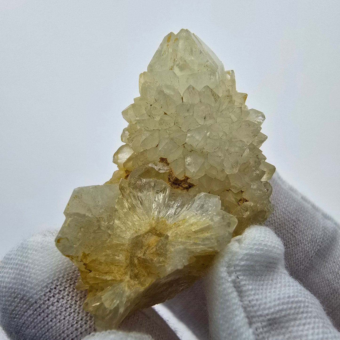 Kaktusquarz, Spirit Quarz XX Stufe Boekenhouthoek, Südafrika 38*37*23mm Sammlung