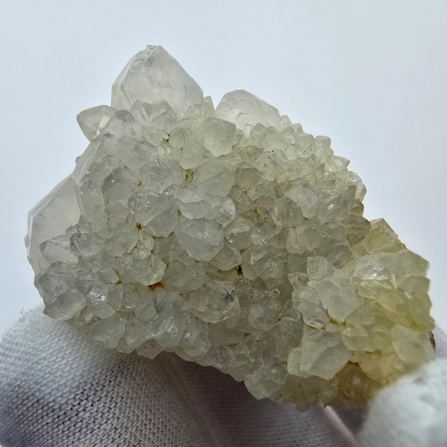 Kaktusquarz, Spirit Quarz XX Stufe Boekenhouthoek, Südafrika 43*38*30mm Sammlung