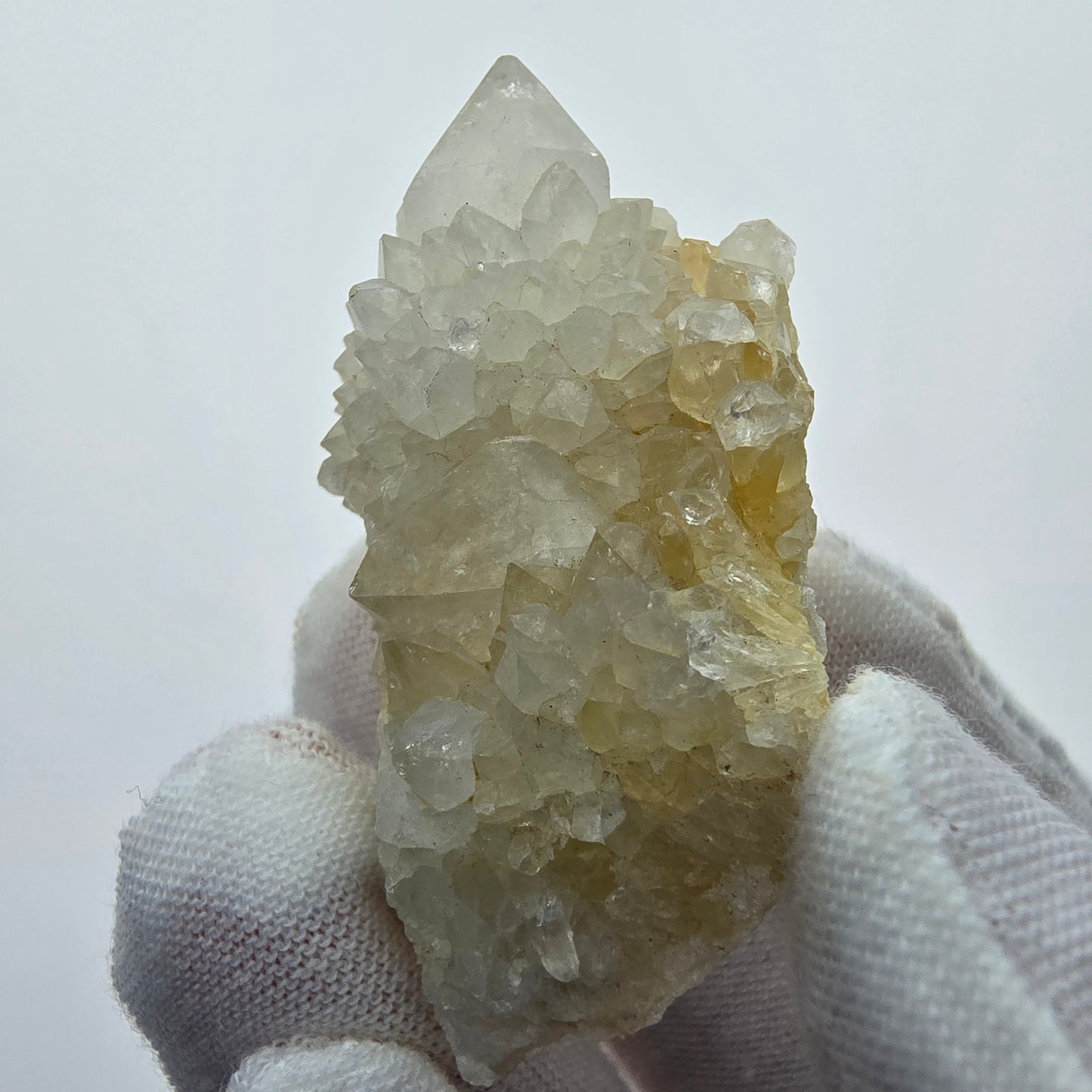 Kaktusquarz, Spirit Quarz XX Stufe Boekenhouthoek, Südafrika 48*26*20mm Sammlung