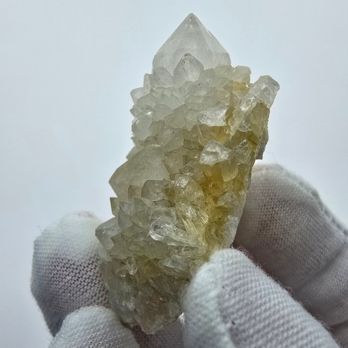 Kaktusquarz, Spirit Quarz XX Stufe Boekenhouthoek, Südafrika 48*26*20mm Sammlung