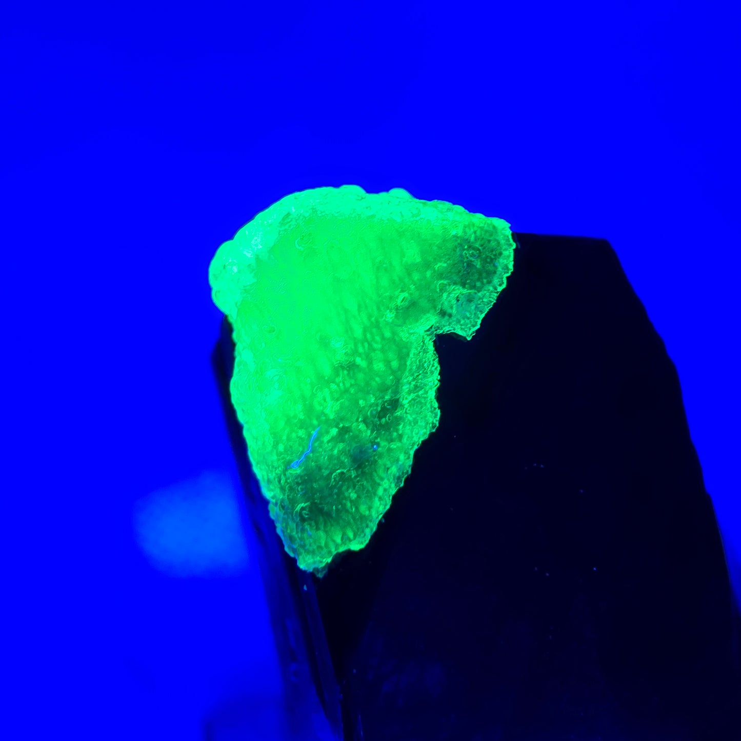 Seltener Schörl Turmalin, Hyalit Kristall Erongo, Namibia 28*23*17mm Sammlung