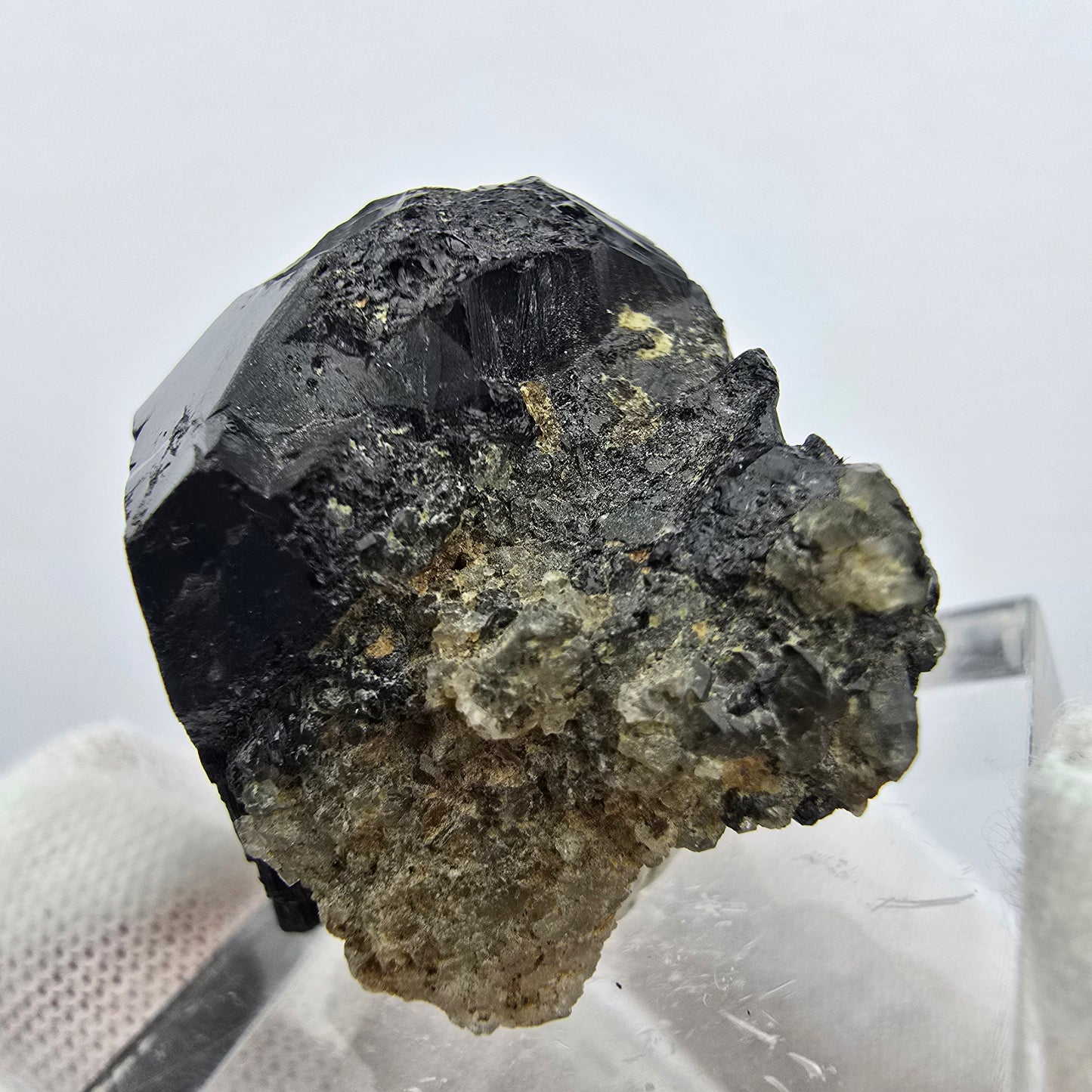 Seltener Schörl Turmalin Kristall Erongo, Namibia 28*26*20mm Sammlung