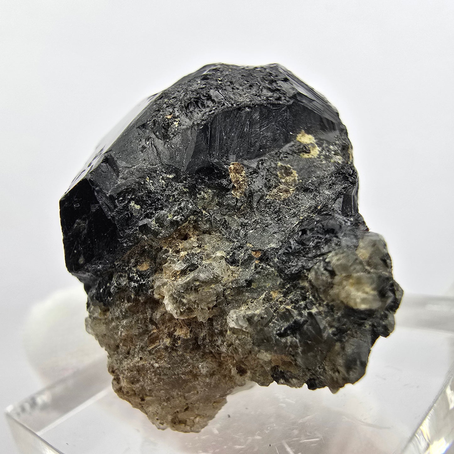 Seltener Schörl Turmalin Kristall Erongo, Namibia 28*26*20mm Sammlung