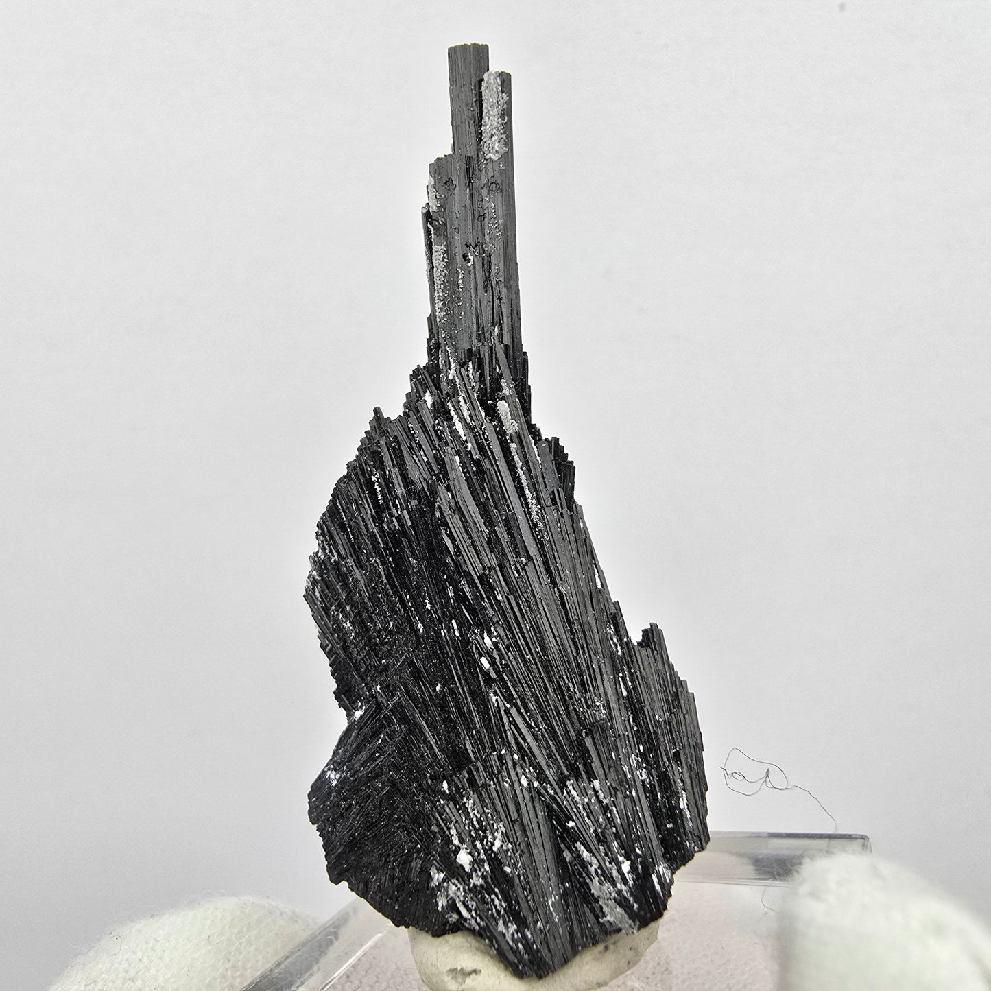 Seltene Schörl Turmalin Stufe schwarz Erongo, Namibia 49*21*12mm Sammlung