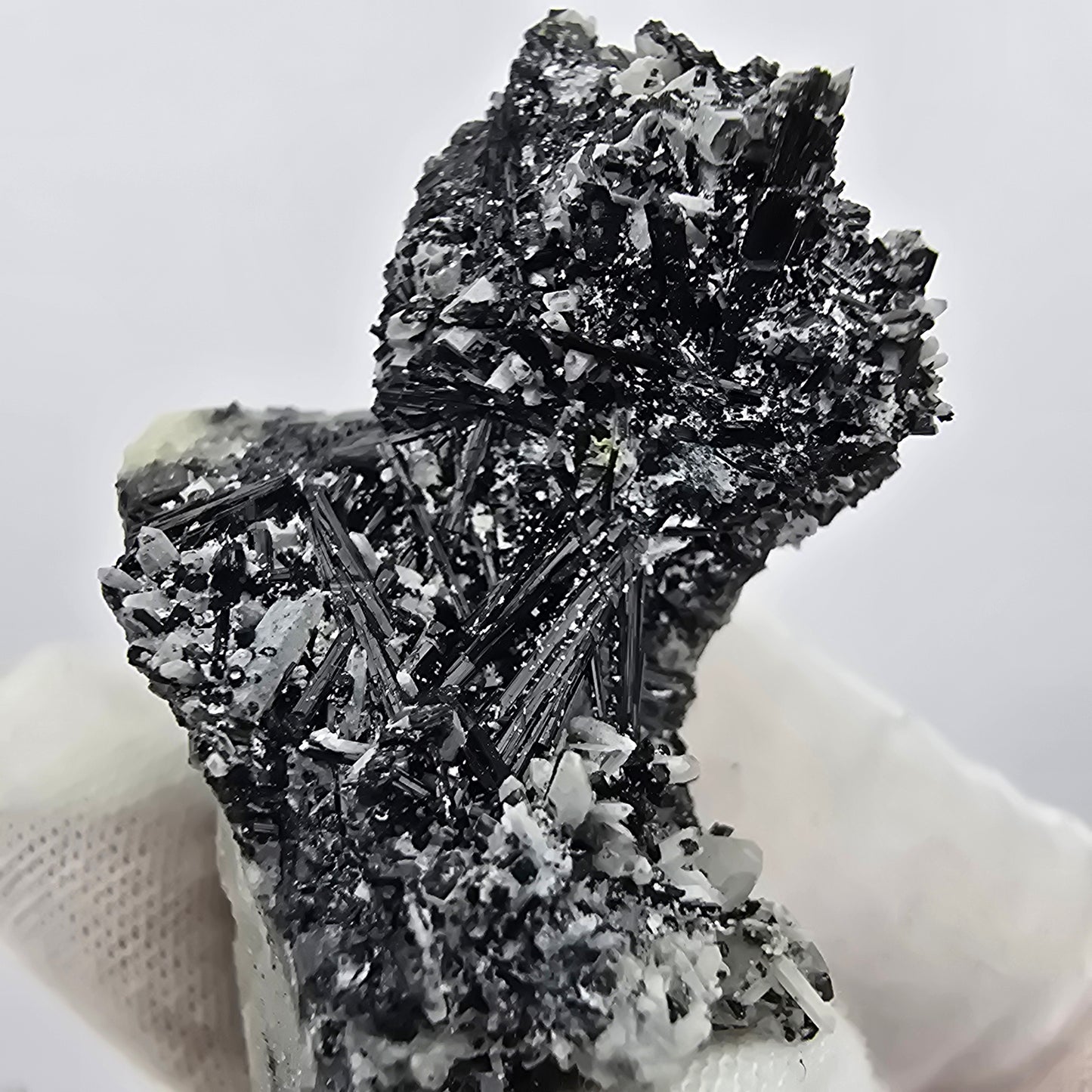 Seltene Schörl Turmalin, Rauchquarz Stufe Erongo, Namibia 59*33*30mm Sammlung