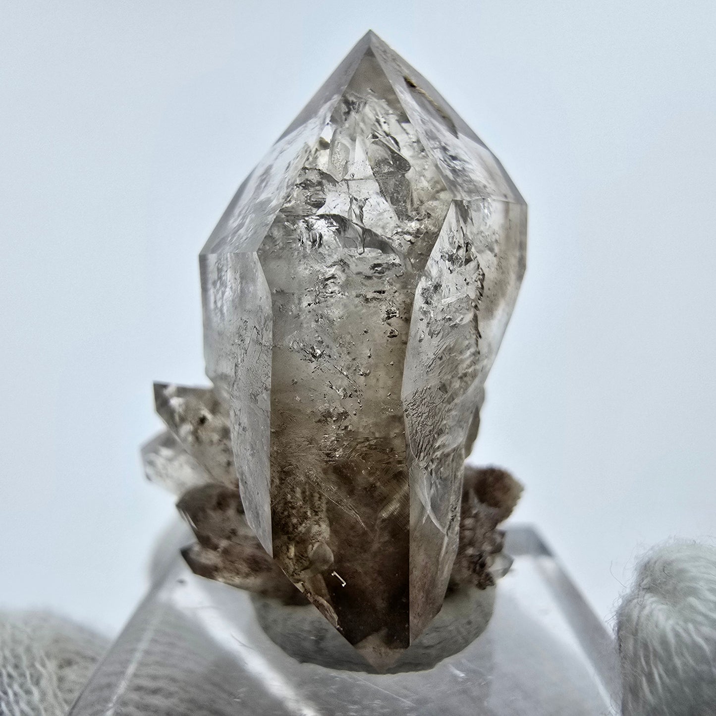 Phantom Rauchquarz DT Zepter Stufe Goboboseb, Namibia 31*27*24mm