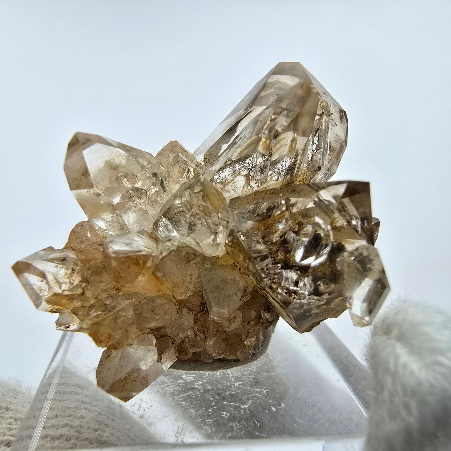 Phantom Rauchquarz DT Zepter Stufe Goboboseb, Namibia 23*21*25mm